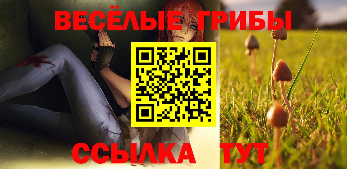 Саяногорск  Галлюциногенные грибы Psilocybe  Вход с VPN 